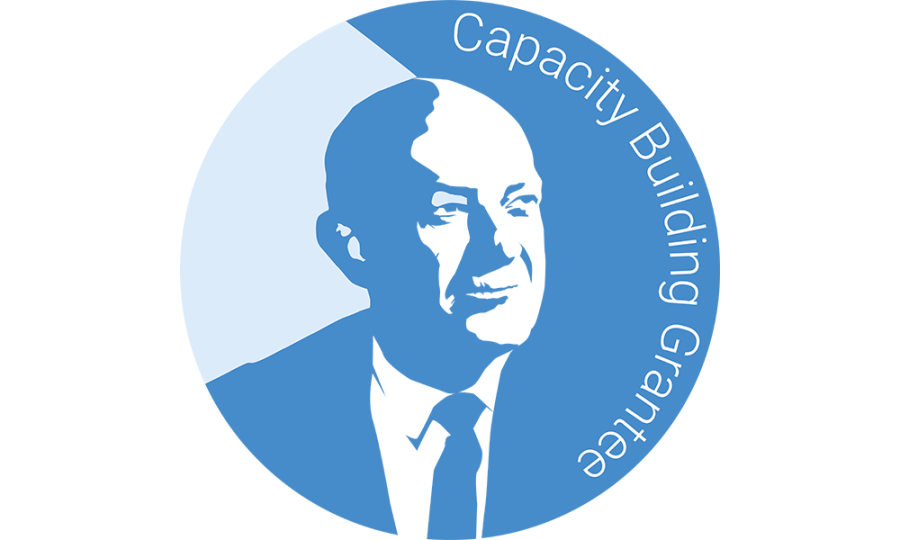 Capacity Building grantee icon